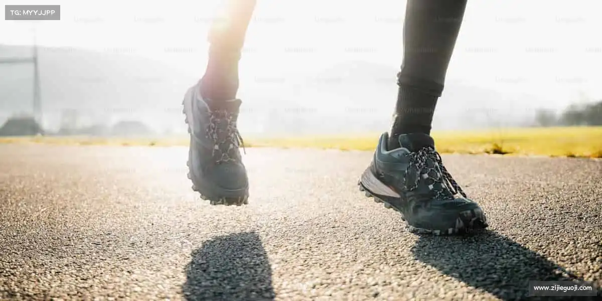 乐天堂官网——🏇🌄驾驭风的方向,追逐梦想!